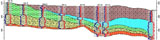 rockworks_fencediagrams2